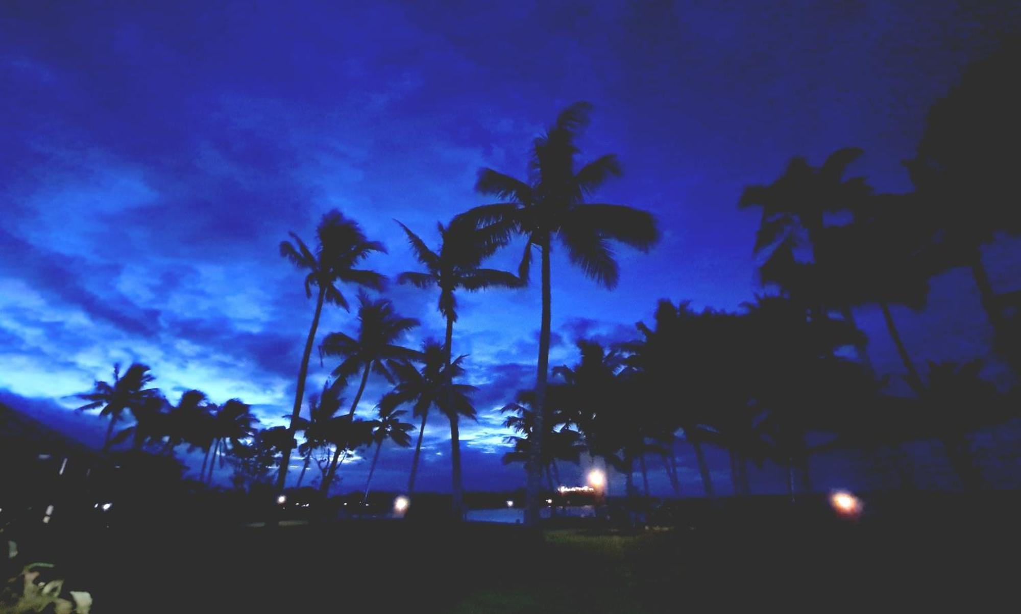Dolphin Heads - Resort Unit - Absolute Beachfront! - Whitsunday Getaway! Mackay Exterior foto