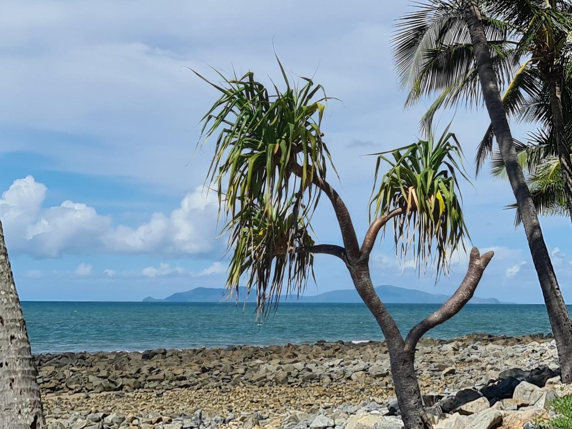 Dolphin Heads - Resort Unit - Absolute Beachfront! - Whitsunday Getaway! Mackay Exterior foto