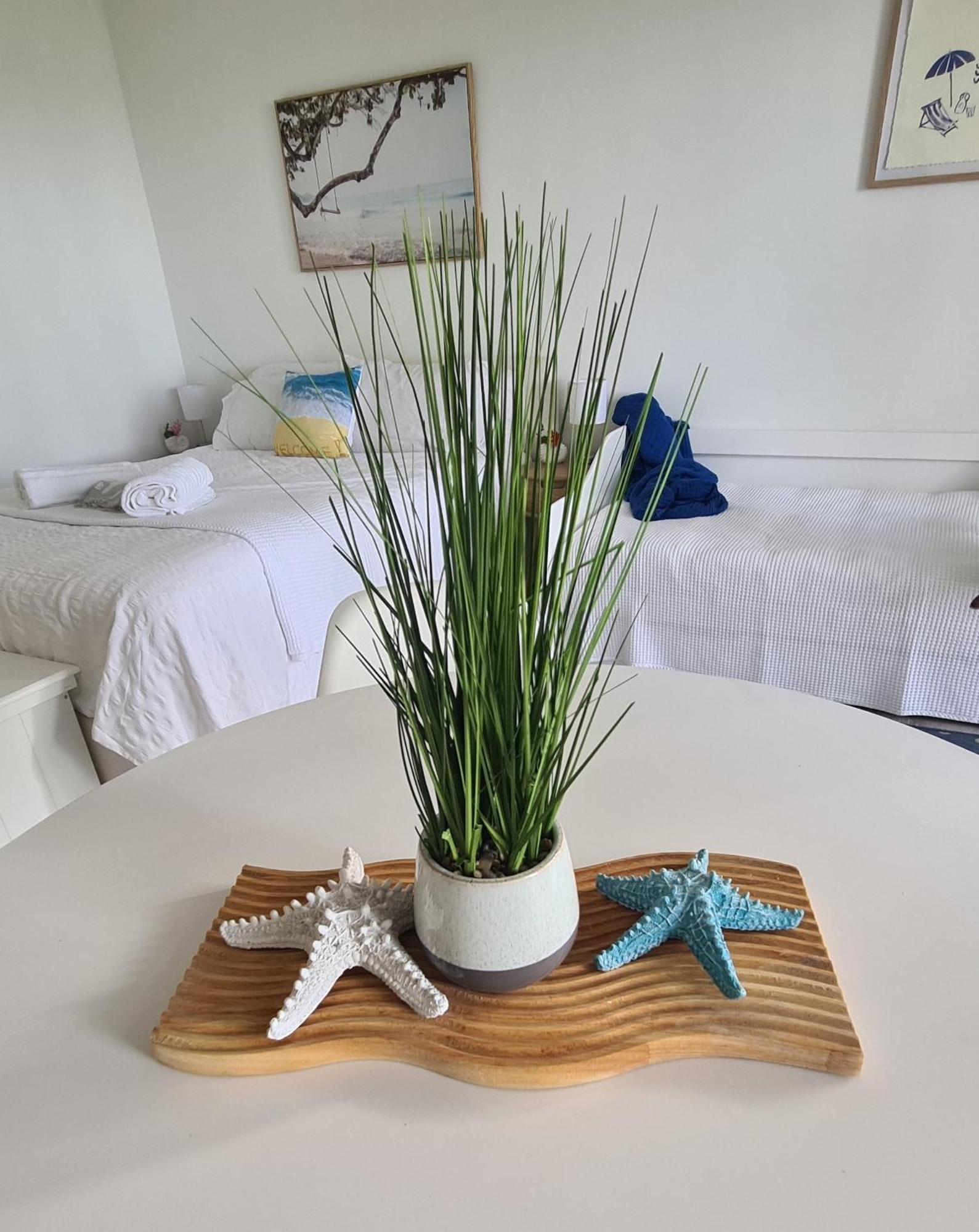 Dolphin Heads - Resort Unit - Absolute Beachfront! - Whitsunday Getaway! Mackay Exterior foto