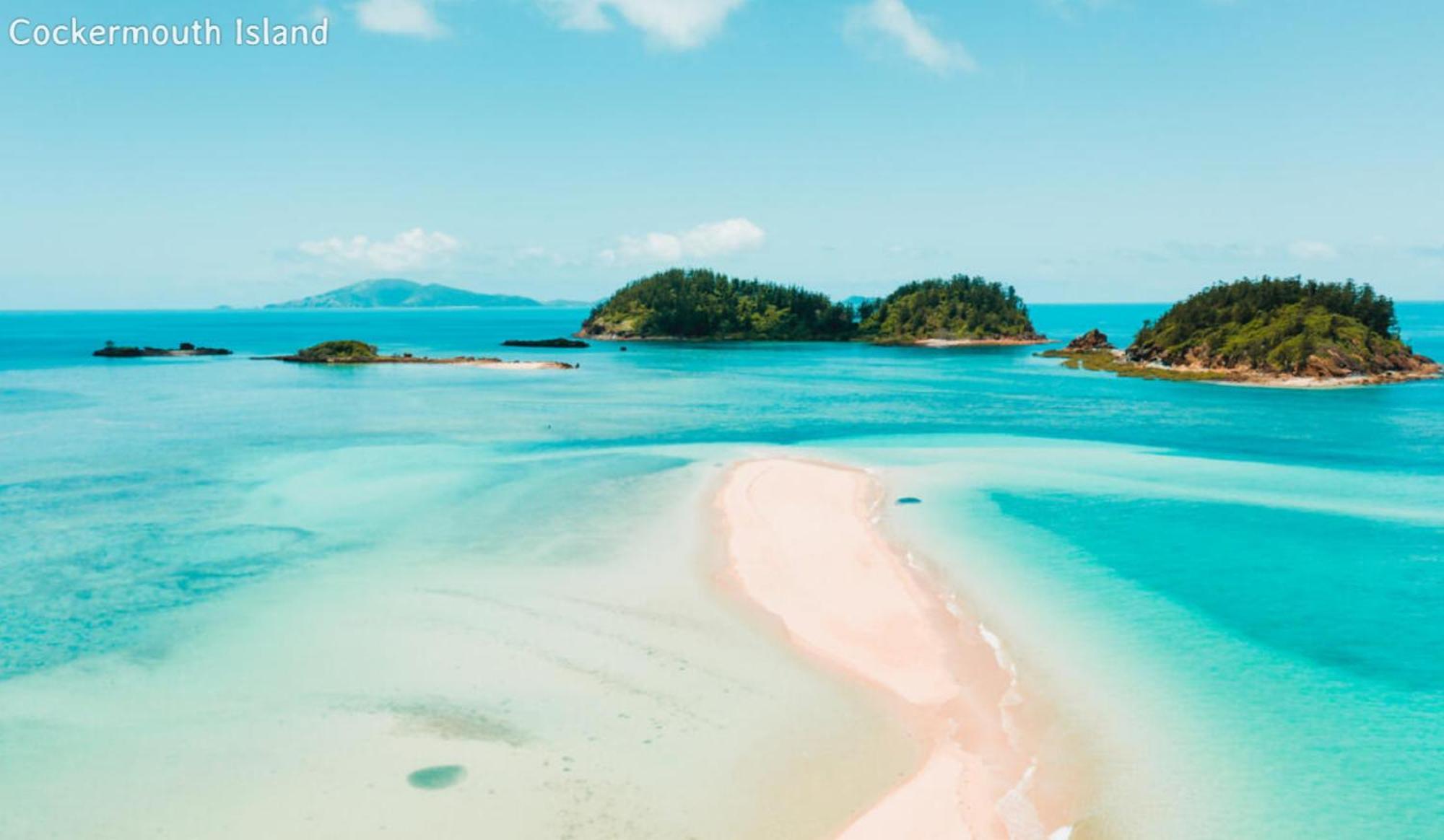 Dolphin Heads - Resort Unit - Absolute Beachfront! - Whitsunday Getaway! Mackay Exterior foto
